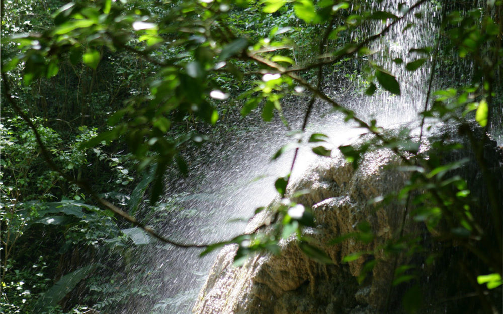 Hacienda El Jibarito Aparthotel San Sebastian Buitenkant foto